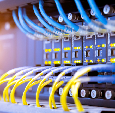 elv service provider